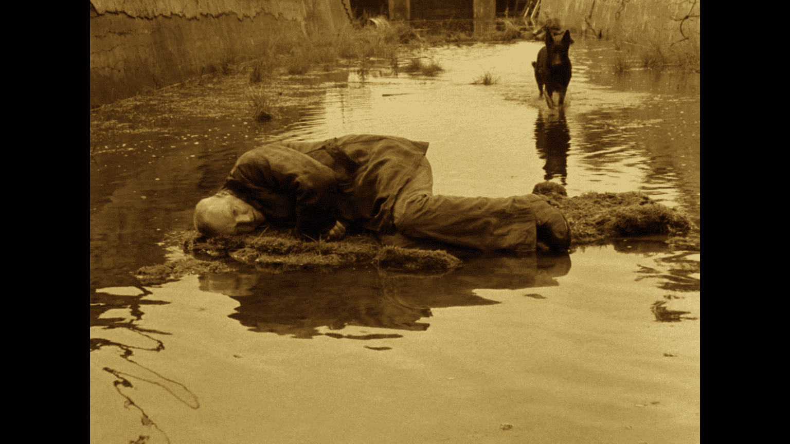 Fotograma do filme stalke.png