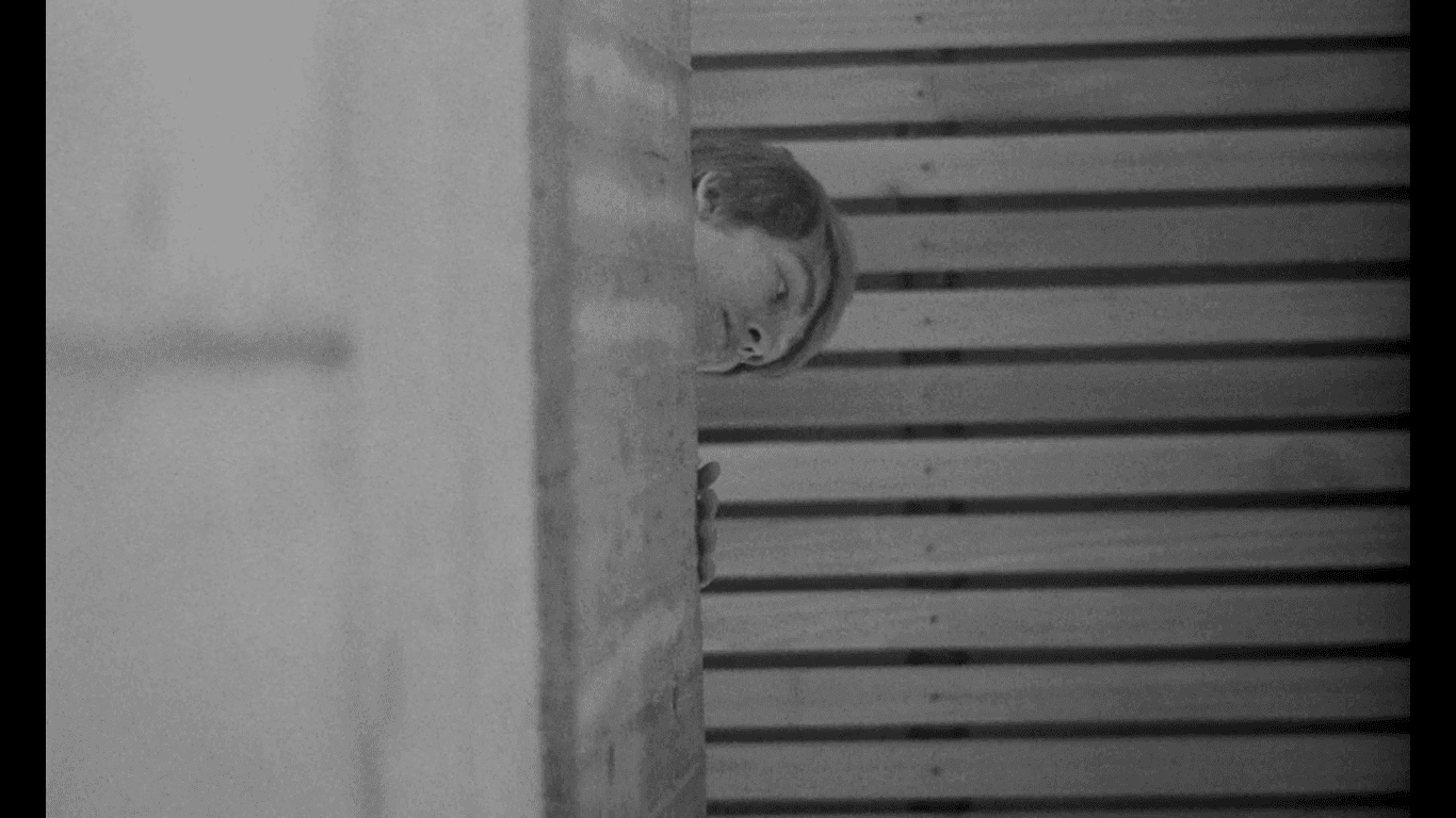 Fotograma do filme stereo.png