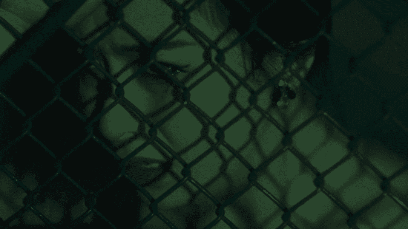 Fotograma do filme days-of-beeing-wild.png